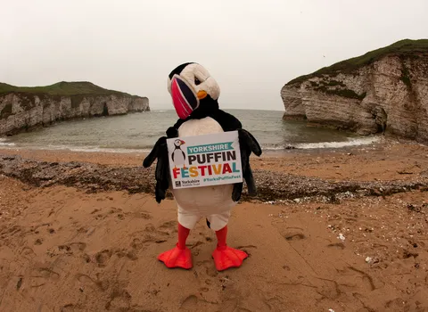 Person dressed as a puffin on Flamborough beach